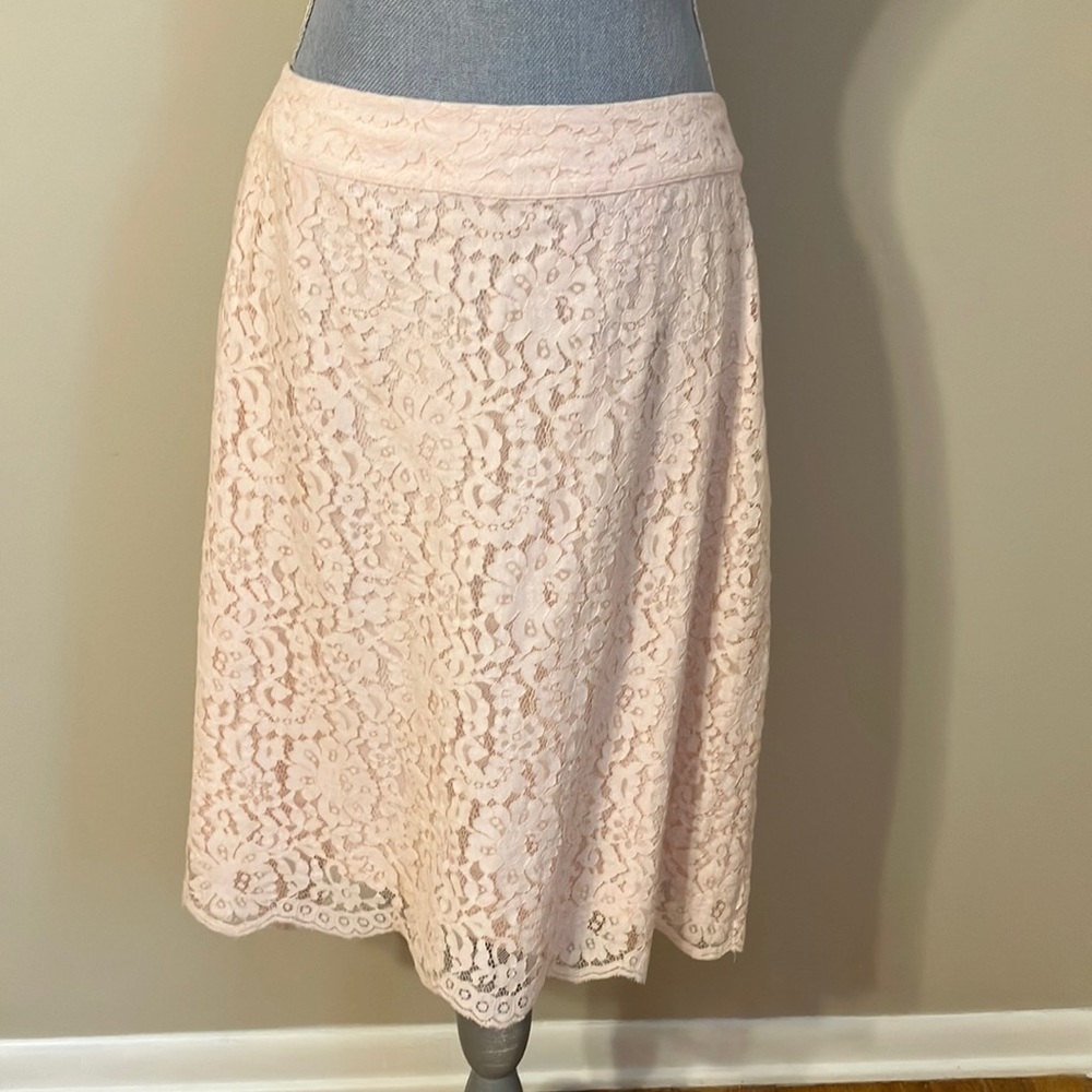 The Limited Skirt